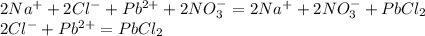 2Na^+ + 2Cl^- + Pb^{2+} + 2NO_3^- = 2Na^+ + 2NO_3^- + PbCl_2 \\ 2Cl^- + Pb^{2+} = PbCl_2