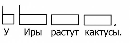 Уиры растут кактусы. нарисовать схему