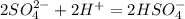 2SO_{4}^{2-}+2H^{+}=2HSO_{4}^{-}