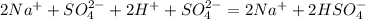 2Na^{+}+SO_{4}^{2-}+2H^{+}+SO_{4}^{2-}=2Na^{+}+2HSO_{4}^{-}