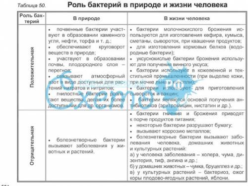 Кто подскажет роль бактерий в природе и в жизне человека