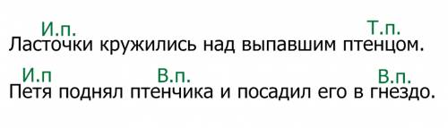 Укажи падеж выделенных существительных.ласточки кружились над выпавшим птенцом. петя поднял птенчика