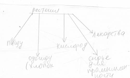 Схема что растения животным и человеку
