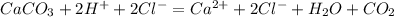 CaCO_3 + 2H^+ + 2Cl^- = Ca^{2+} + 2Cl^- + H_2O + CO_2