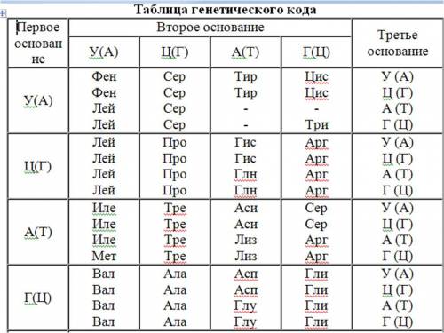 1)какие аминокислоты кодируют триплеты: цат; гаг; ааг; гаг 2)какие триплетами зашифрованы аминокисло