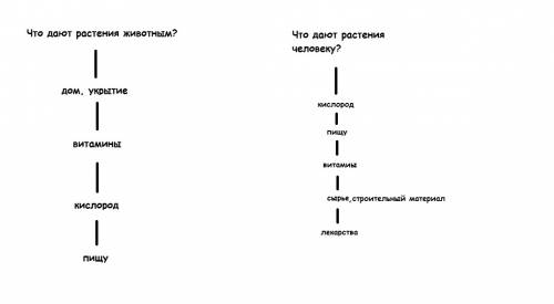 Изобразить с схемы связь между растениями и животными