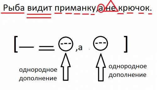 Рыба видит приманку,а не крючок.5 пунктуационный разбор предложения, pleas! 100 : )