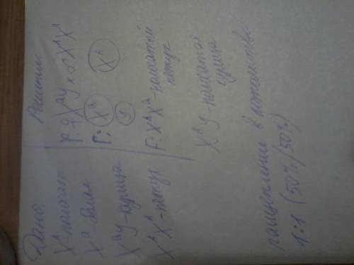 Уптиц гетерогаметным является ж,гомогам- м. у некоторых пород кур полосатая окраска оперения доминир