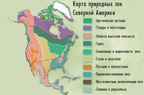 Какие природные зоны есть в россии и северной америки?