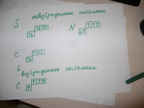 Укого из нижеперечисленных элементов число неспаренных электронов равно числу спаренных 1.азот 2.нат