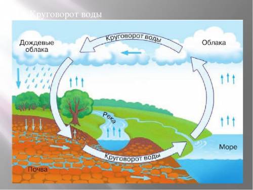 Опиши круговорот воды в природе.(как происходит)