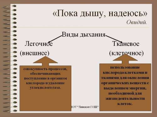 Чем отличается тканевое дыхание от легочного