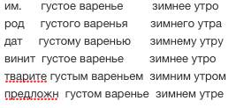 Просклонять имена прилагательные ср.рода: густое варенье, зимнее уто.обозначь окончание. заранее