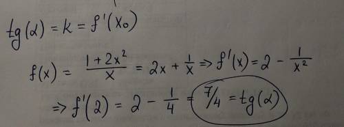 \frac{1+2x^2}{x}