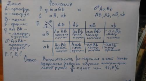 Леворукость и фенилкетонурия – аутосомные рецессивные признаки, не сцепленных друг с другом. здорова