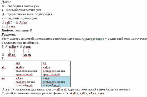 1. у человека свободная мочка уха (а) доминирует над несвободной, а подбородок с треугольной ямкой (