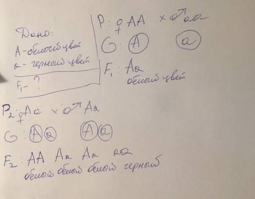 Белые куры белое потомство,а черные -черное .каковы генотипы кур? напишите схему скрещивания белых и