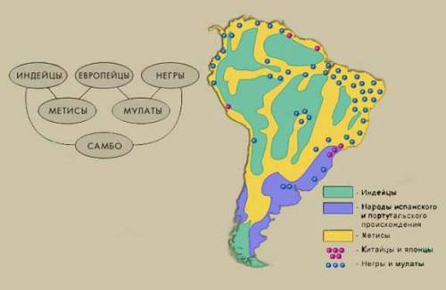 Каков расовый и национальный состав населения южной америки? как он сформировался?