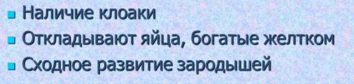 1). черты сходства с рептилиями гнезновых и выводковых птиц 2). черты сходства с птицами гнезновых и