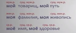 Можно ли определить род существительных по их суффиксам? примеры.