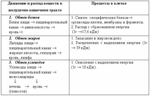 Биология: таблица на тему: обмен веществ и энергии