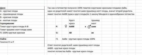 Томат с круглыми (a) красными (b) скрещён с томатом с грушевидными (а) желтыми (b) .в потомстве все