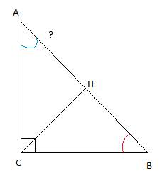 Втреугольнике abc угол c равен 90° , bc = 20, cosb = 0,8. найдите проекцию катета ас на гипотенузу о