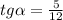 tg \alpha = \frac{5}{12}