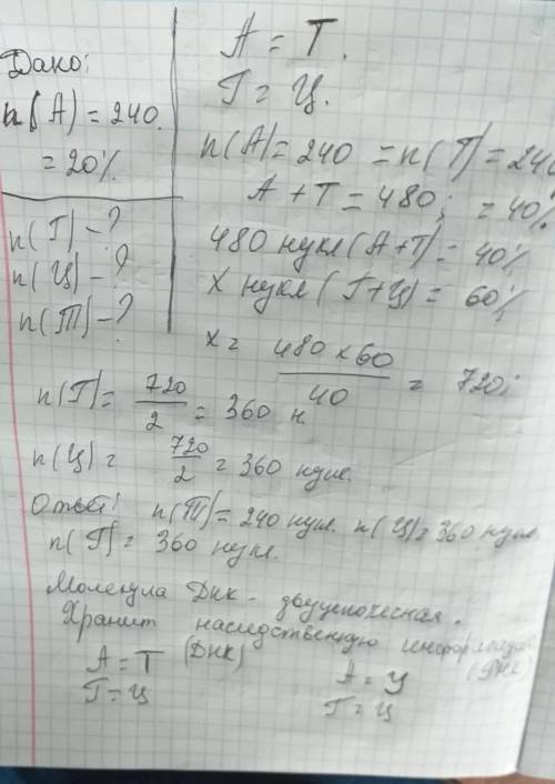 Сколько содержится нуклеотидов с аденином (а), цитозином(ц), гуанином (г) во фрагменте днк, если изв