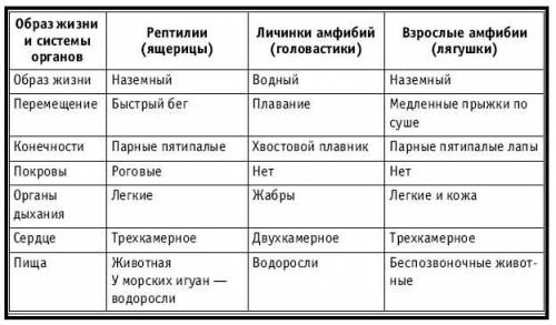 Заполните таблицу сравнительная характеристика земноводных и пресмыкающихся сравниваемые признаки кл