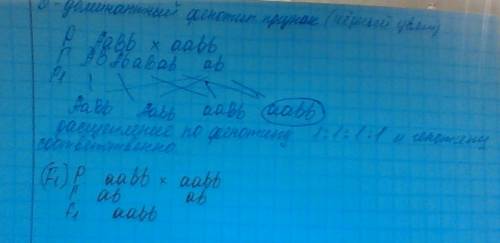 Черные собаки породы кокер-спаниель имеют генотип ааbb, рыжие - ааbb, коричневые аавb, светло-желтые