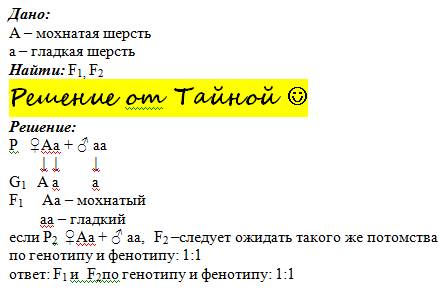 Мохнатую гетерозиготную крольчиху скрестили с гладкошёрстным кроликом. определите фенотипы и генотип