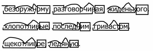 Разбери прилагательные по составу: безоружному,разговорчивая,жиденького,хлопотливые,последним,гривас