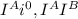 I^{A} i^{0}, I^{A} I^{B}