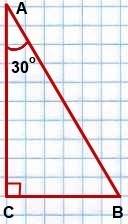 Докажите,что в прямоугольном треугольнике один из углов равен 30 градусов,если катет в 2 раза меньше