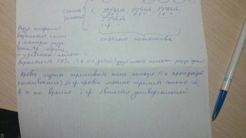 Уженщины первая группа крови и отрицательный резус-фактор. у мужчины третья группа крови (гетерозиго