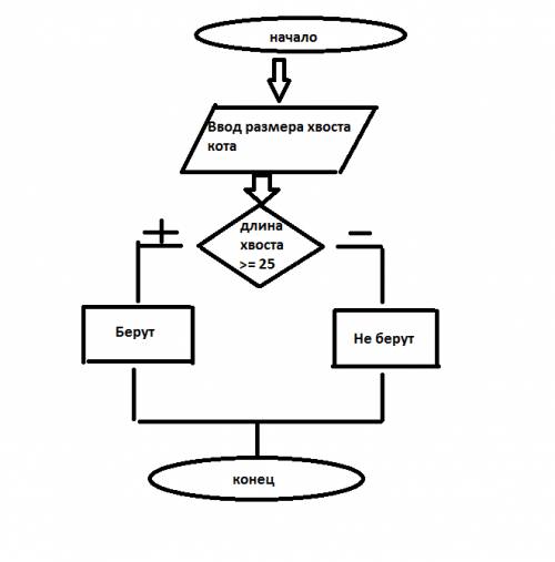 Выставка котов. кота принимают на выставку, если длина хвоста не менее 25 см. составить алгоритм поз