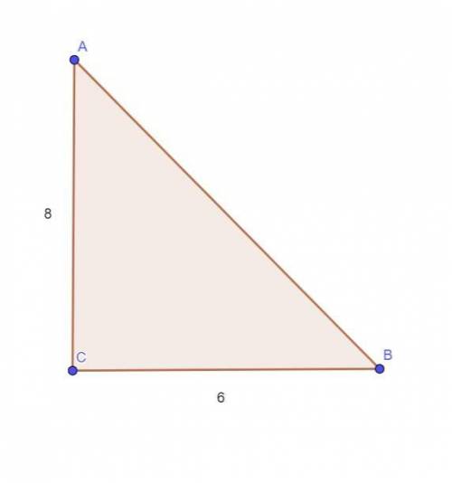 Втреугольнике abc известно, что угол c = 90, ac =8 см,bc = 6см. найти ctg b? , sina;