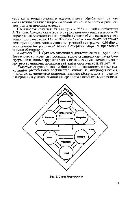 Схема функционирования биогеоценоза пруда на как можно более длительное время