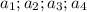 a_{1};a_{2};a_{3};a_{4}