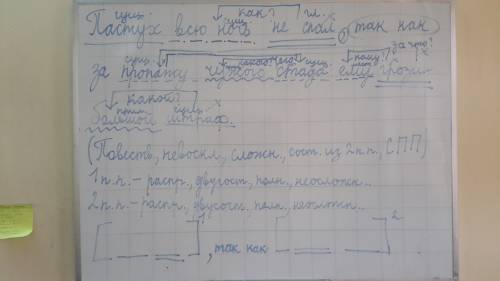 Синтаксический разбор трех сложных ! (охарактеризовать, роль каждого слова в предложении) предложени