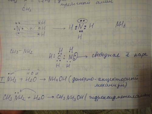 Объясните в свете электронной теории проявление аминами основных свойств. ответ подтвердите уравнени