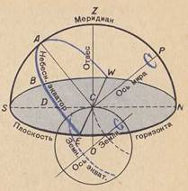 Назовите точки пересечения линии горизонта и небесного экватора