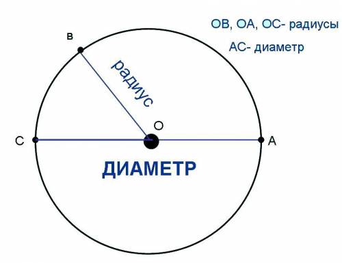 Что такое диаметр и что такое радиус