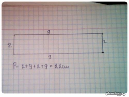 Побудуй у зошити прямокутник из сторонами 2 см и 9 см. знайди периметр цього прямокутника.