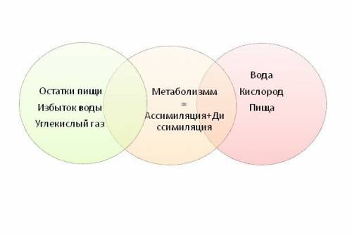 Вставьте пропущенные слова. 1. между…и окружающей…постоянно происходит…и энергии. 2. всё живое актив