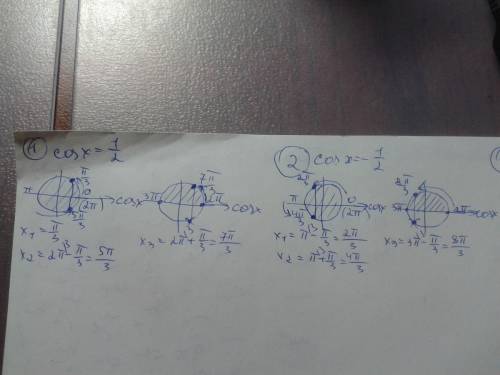 Найти все принадлежащие отрезку (0; 3пи) корни уравнения: 1)cos x=1/2 2)cos x =-1/2 3)cos x=- √2/ 2