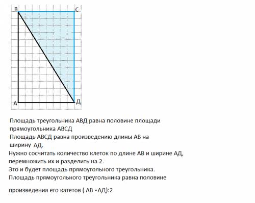 Как найти площадь прямоугольного треугольника в клеточках