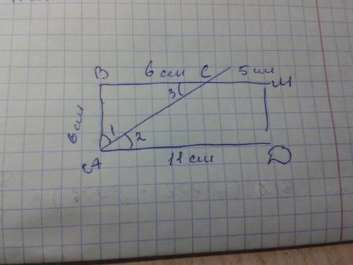 Биссектриса одного из углов прямоугольника делит одну из его сторон на два отрезка длинной 5 см и 6