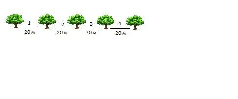 Для озеленения улицы длиной 3 км на одной из её сторон посадили деревья на расстоянии 20 м друг от д